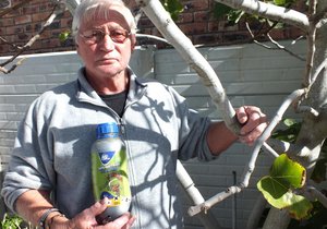 Teenvoeter vir Boorinsek